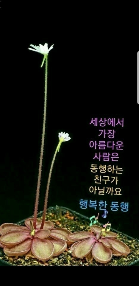 무심 이미지