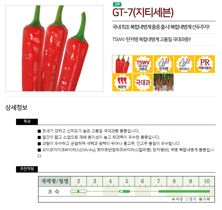 빅포 이미지