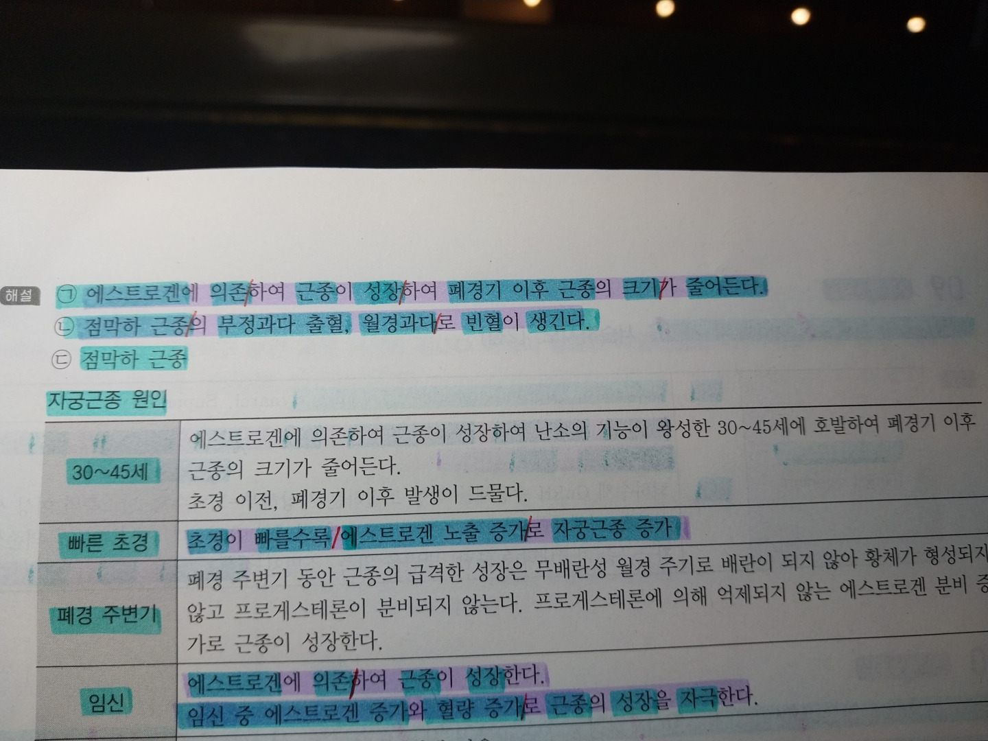 암카 이미지