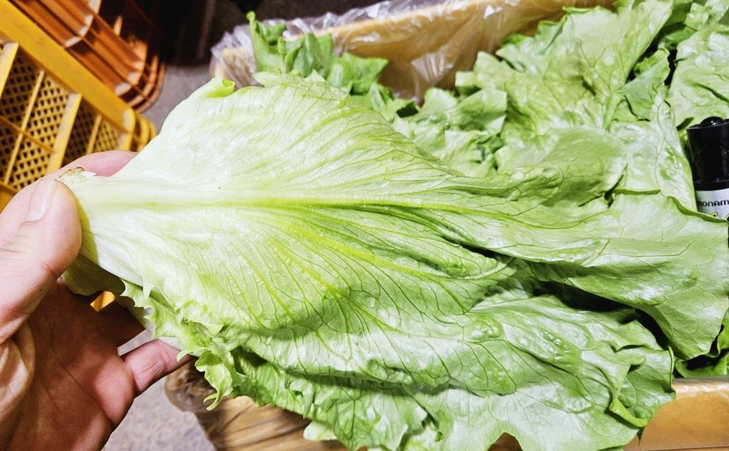 로메인 이미지