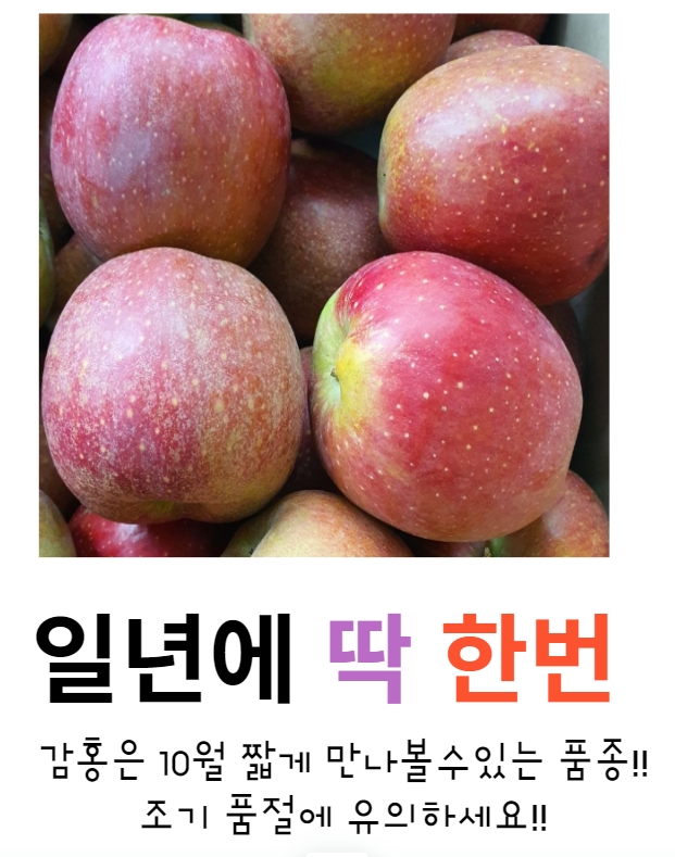 연세청과 이미지