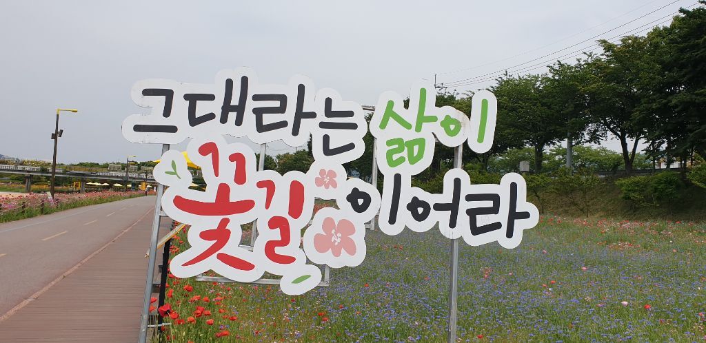 날으는꽃돼지 이미지