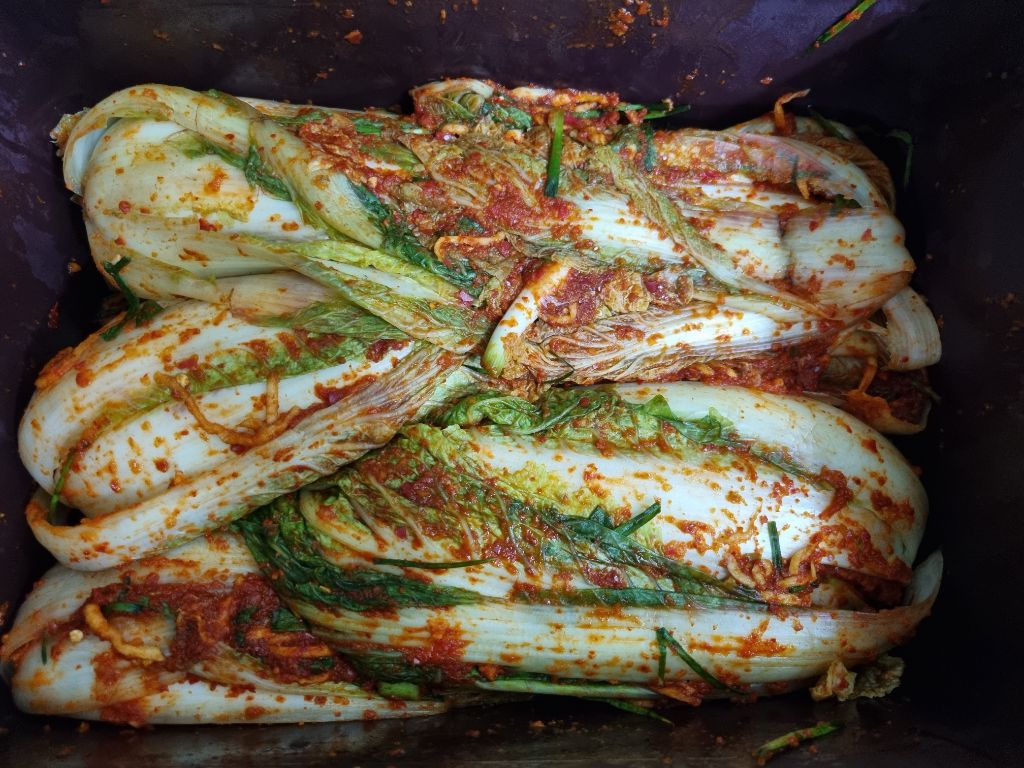 서귀피안 이미지