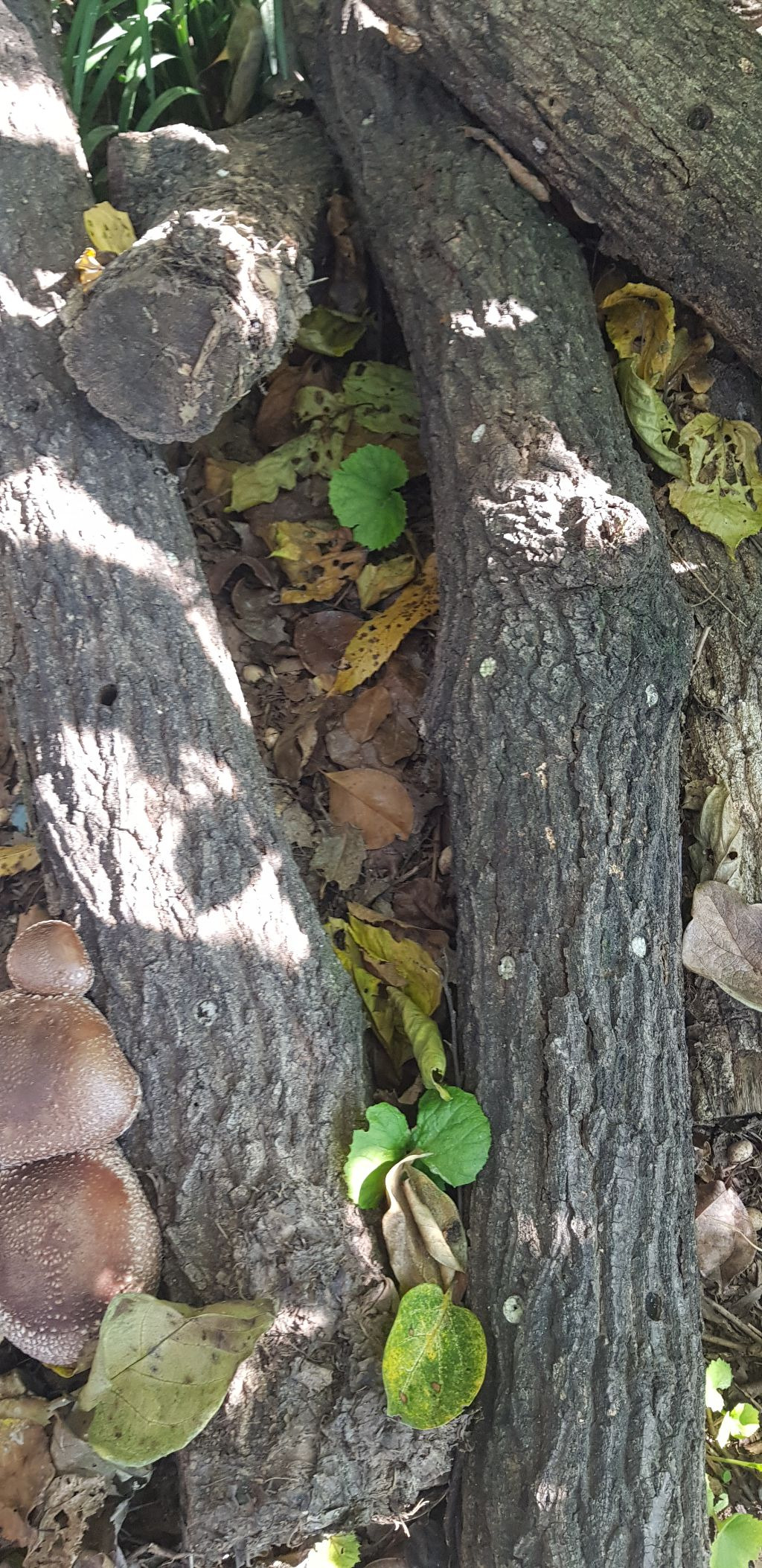 산골마트 이미지