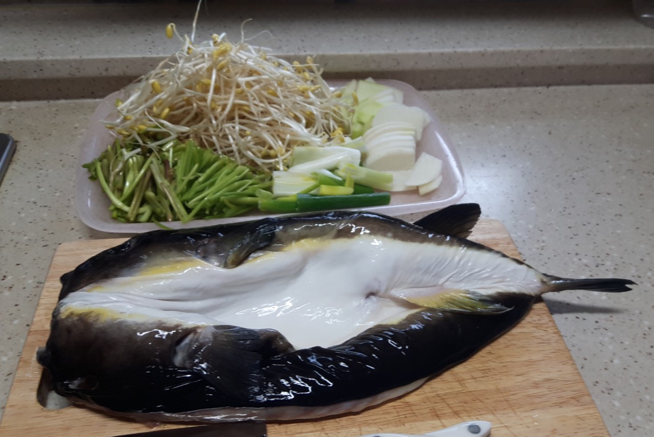 동해복어 이미지