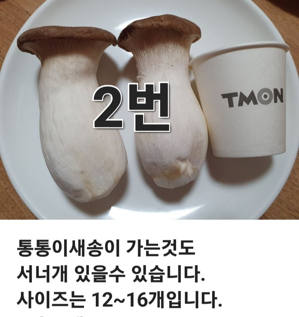공오이이 이미지