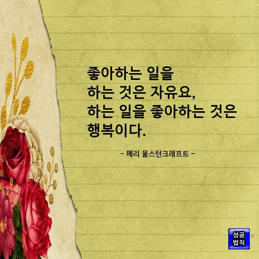 금쪽 이미지