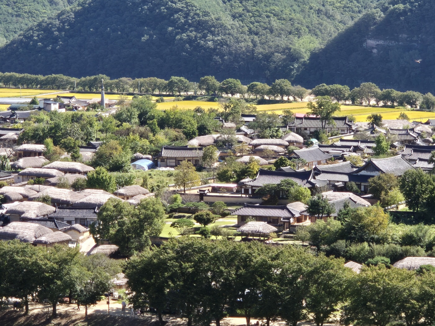 찜닭하회마을 이미지