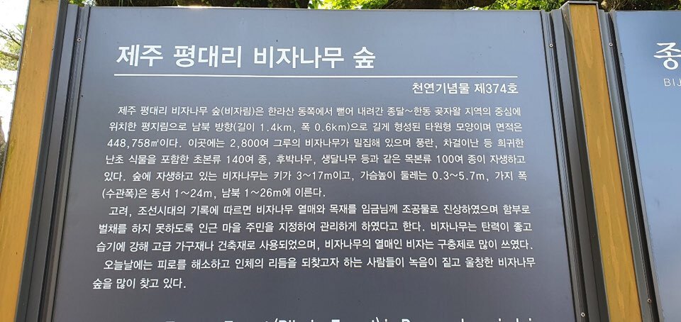 거목다방 이미지