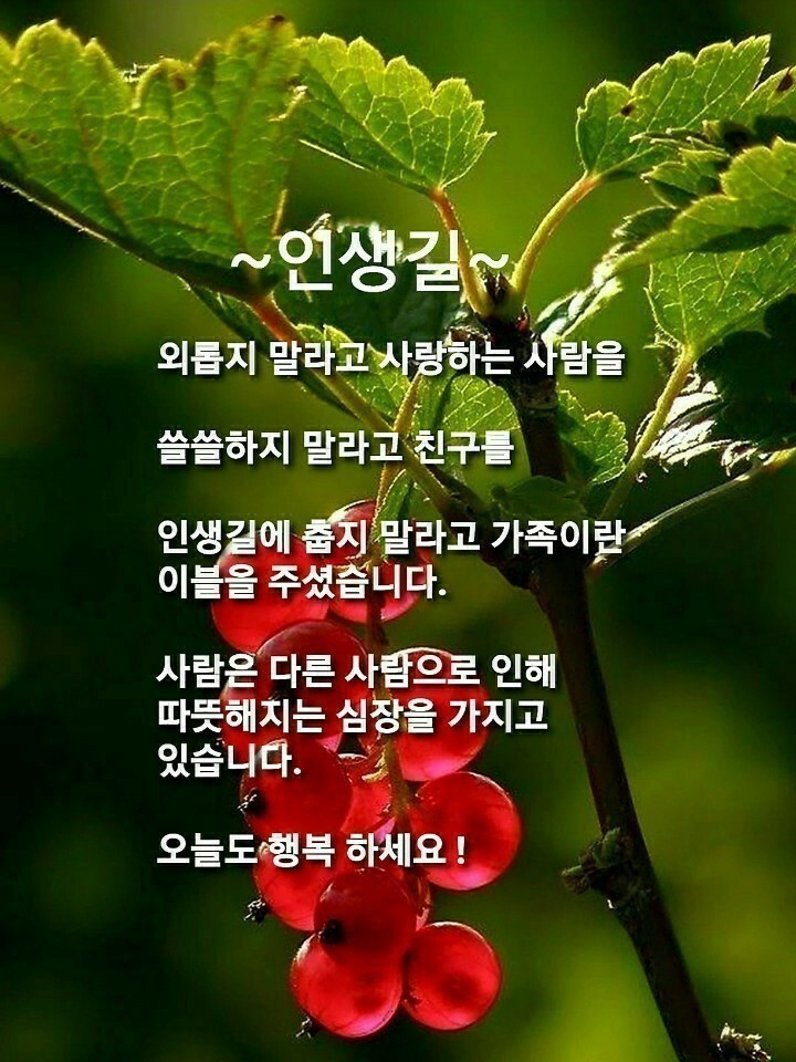좋은느낌 이미지