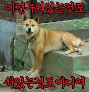 복 이미지