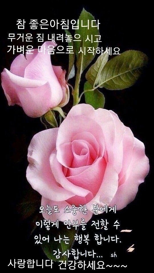 만남 이미지