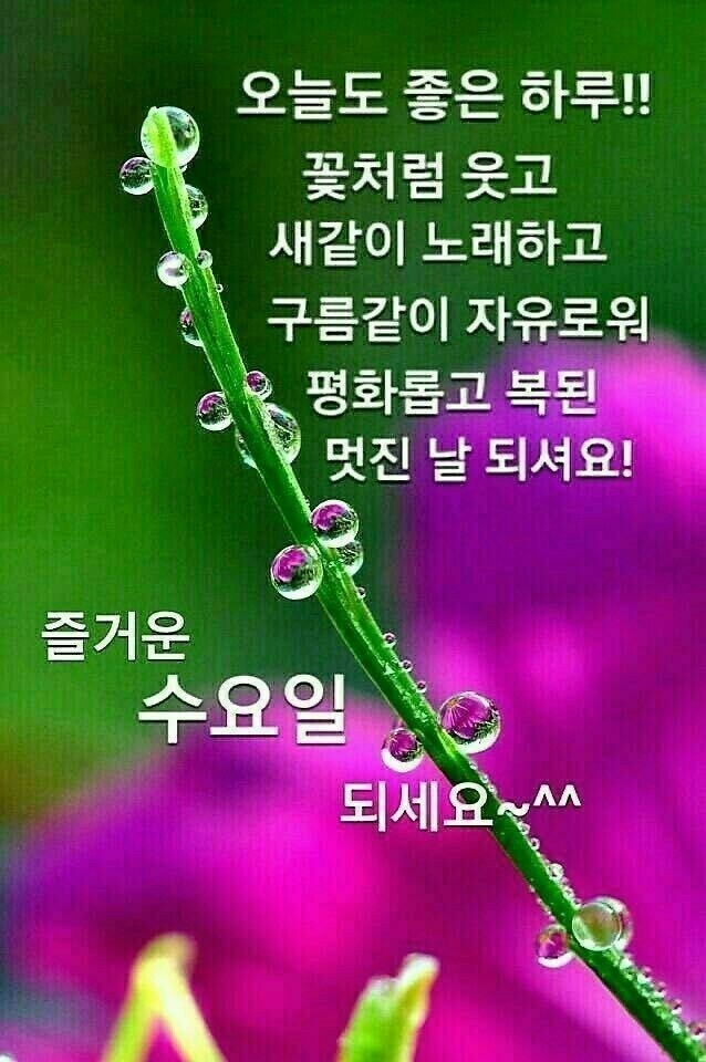 보따리 이미지