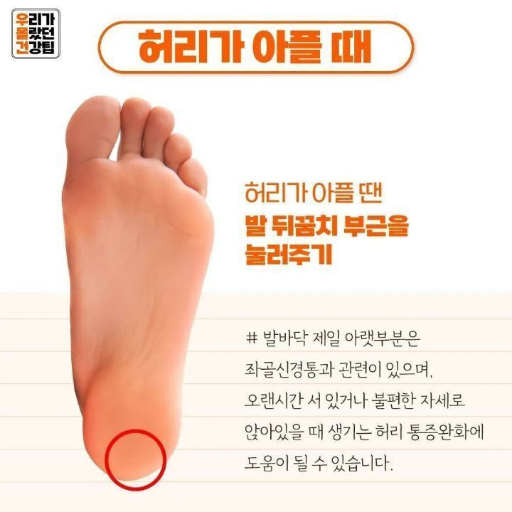 발지압 하나로 전신관리법 - 일반 게시판 - 성 비오 교회음악 연구소 발지압 하나로 전신관리법