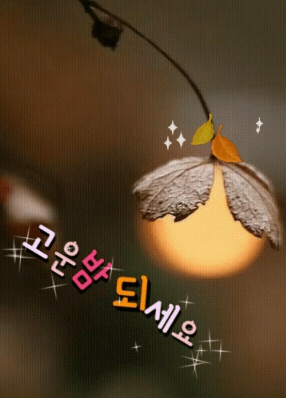 행복한밤 - 좋은시, 좋은글 - 안정모의 주식투자