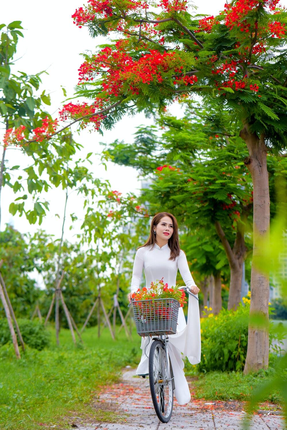 Daum 카페