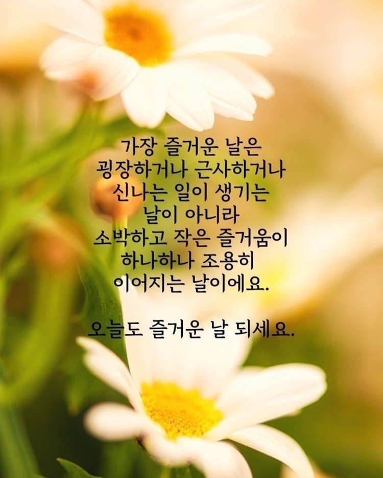 행복한 아침 이미지