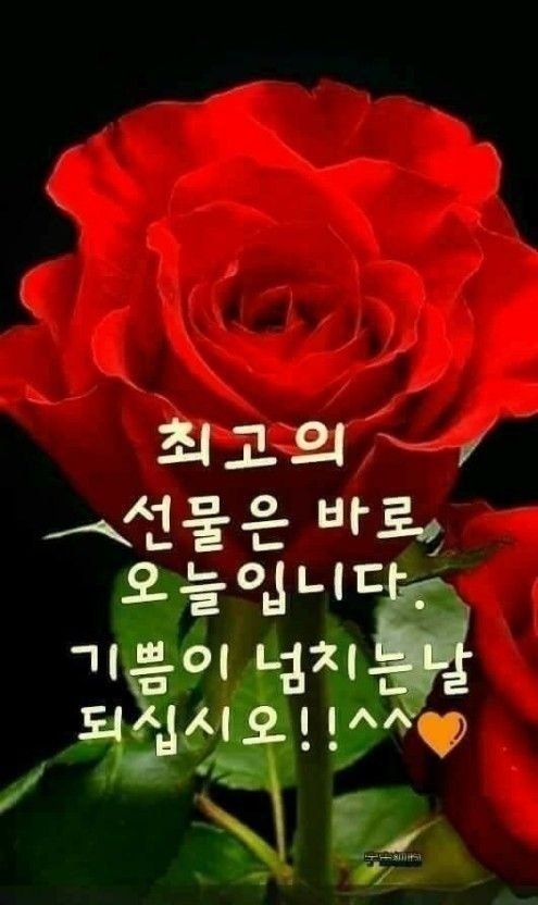 소망 이미지