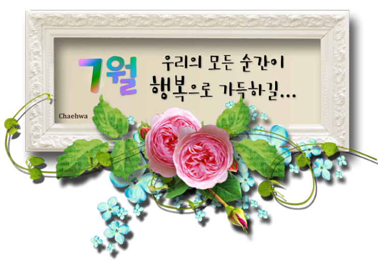 앙탈 이미지