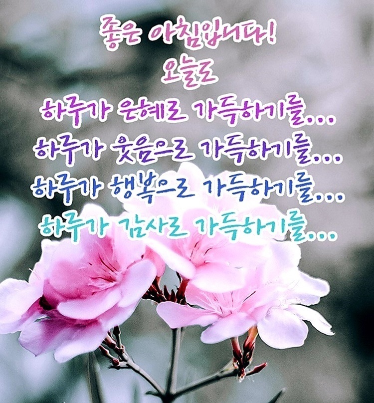 행복한아침 이미지