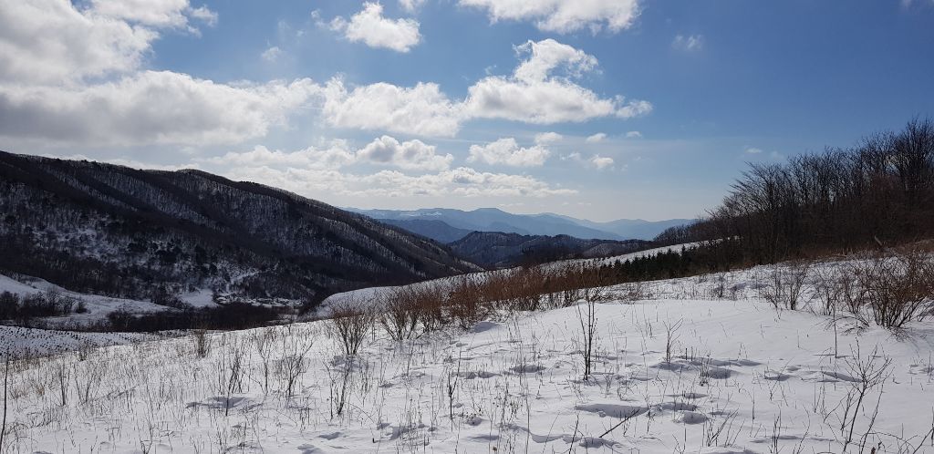 오대산 이미지