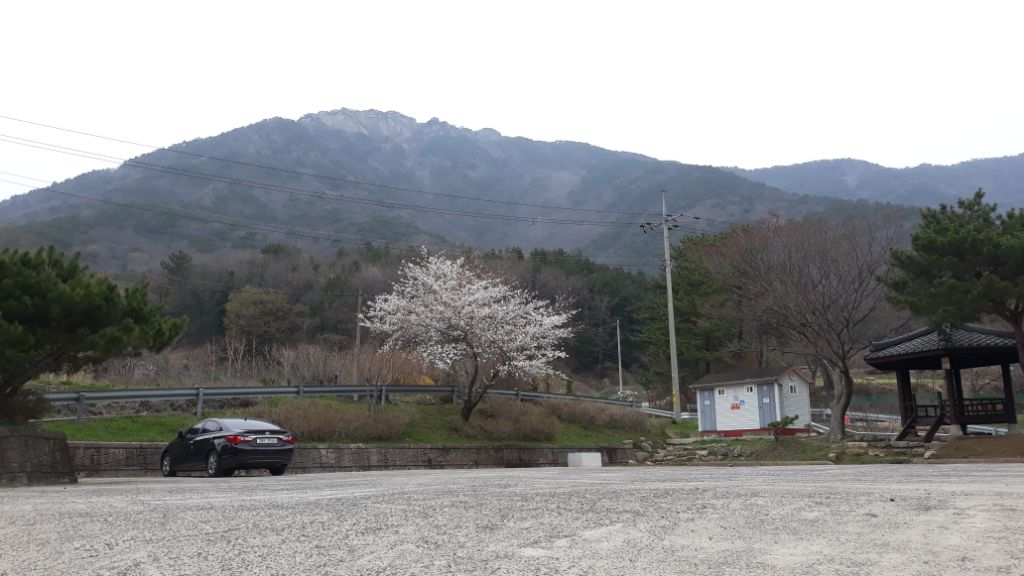 구구쉼터 이미지