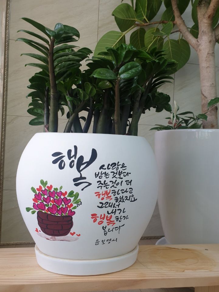 행복꽃 이미지