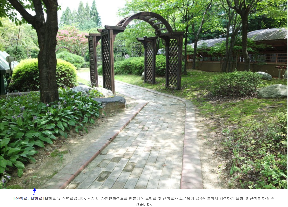 꿈꾸는마술피리음악학원 이미지