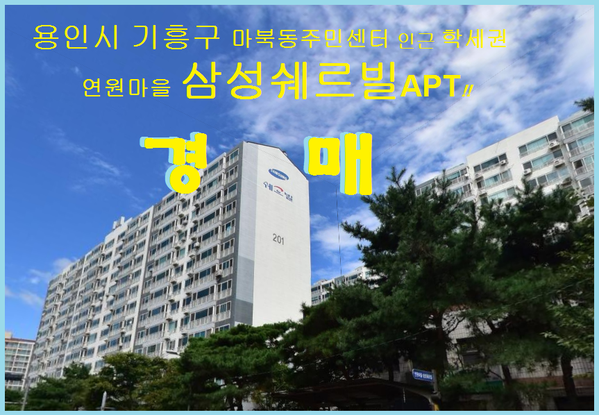 Daum카페