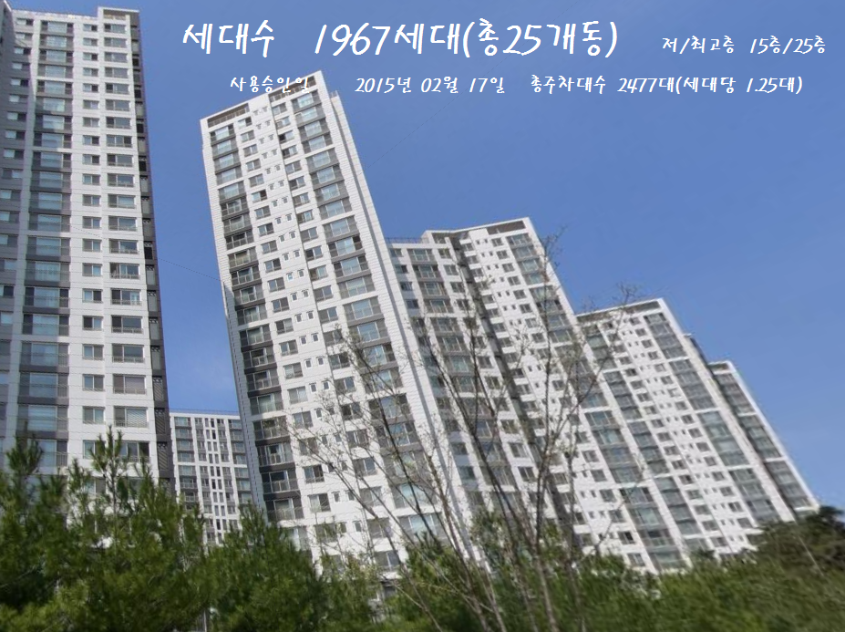 Daum카페