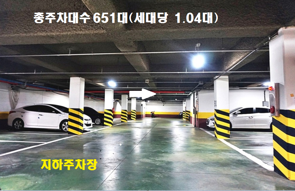 Daum카페