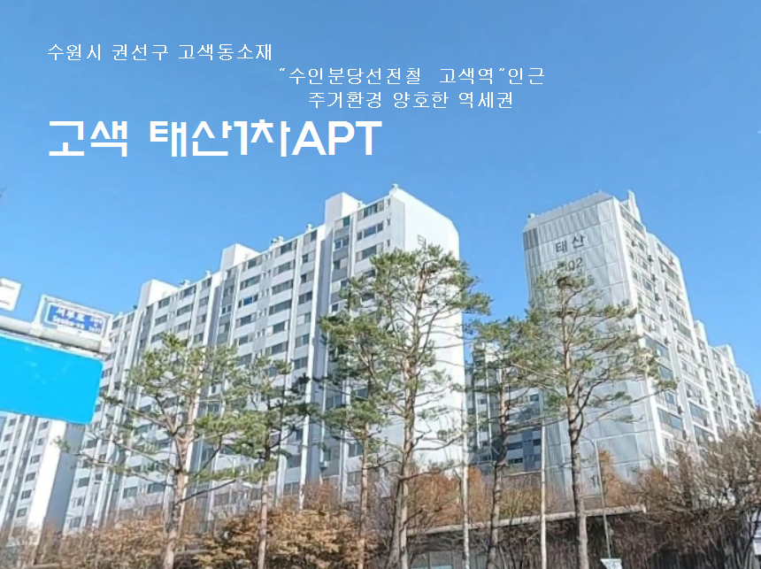 Daum카페