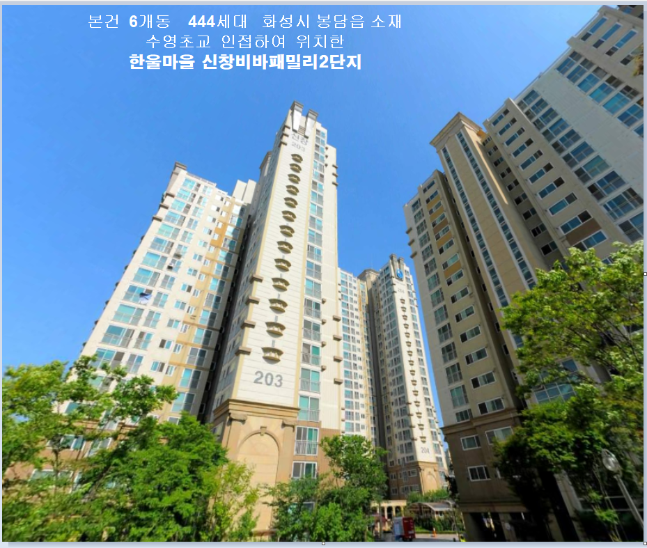 Daum카페