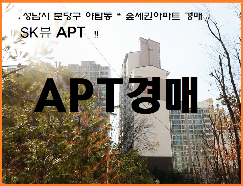 SK부동산컨설팅 이미지