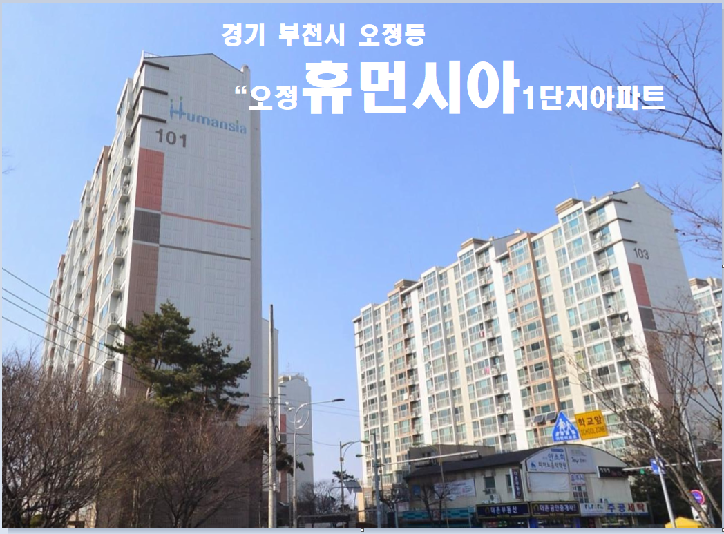 Daum카페