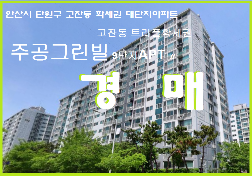 Daum카페
