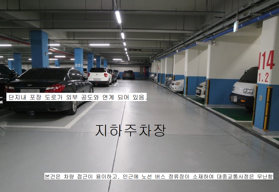 Daum카페