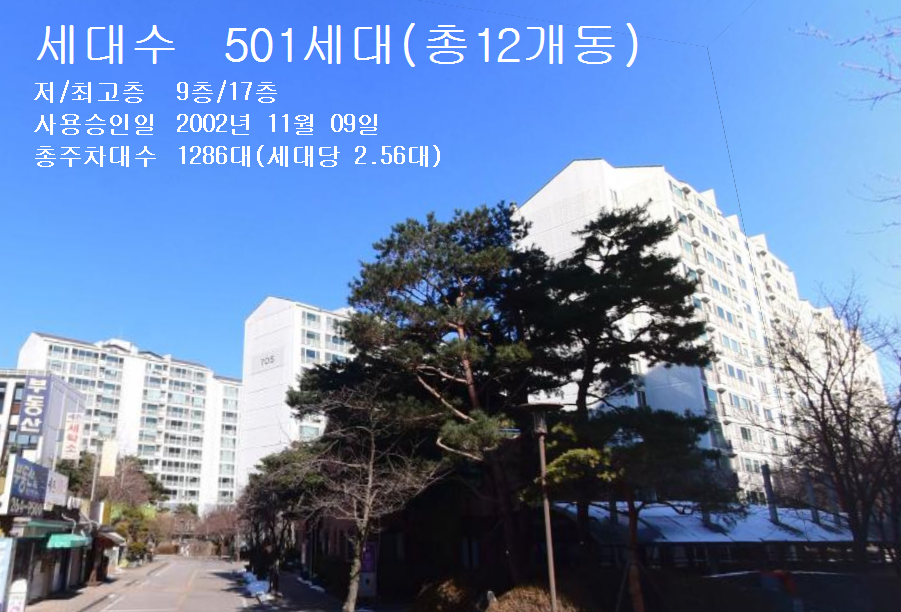 Daum카페