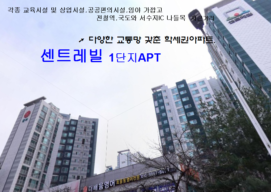 Daum카페