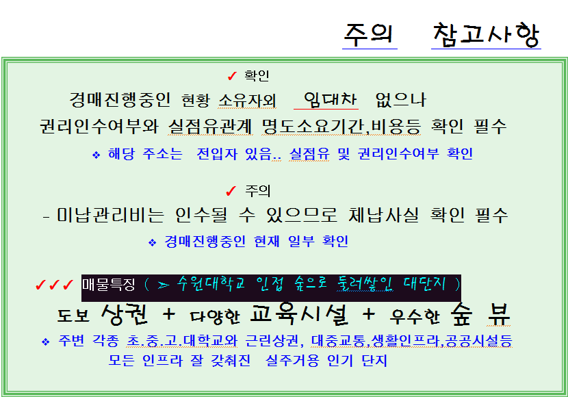 Daum카페