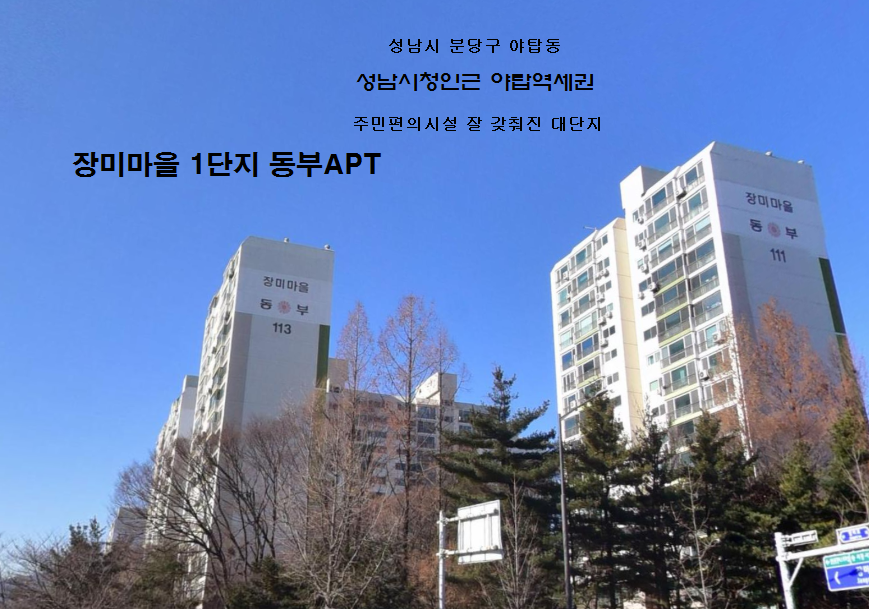 Daum카페