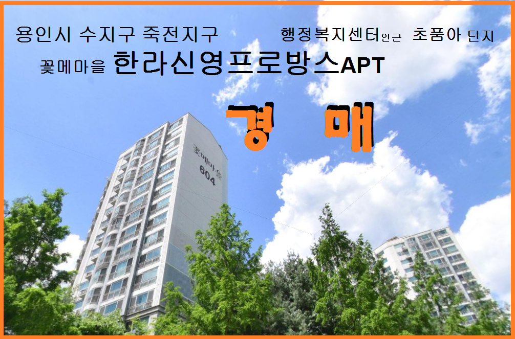 Daum카페