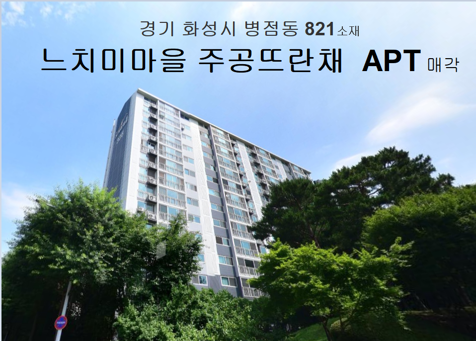 Daum카페