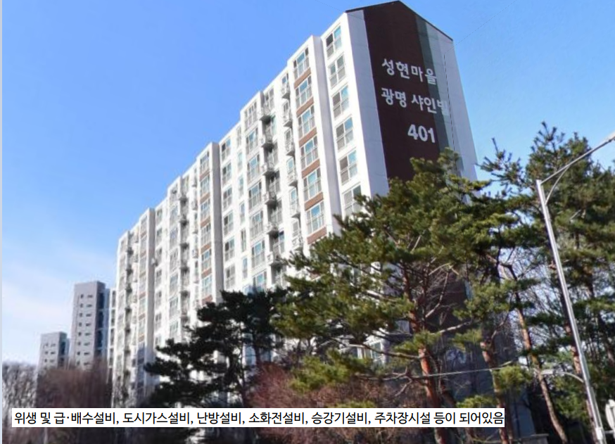 Daum카페