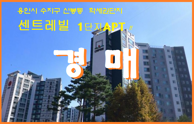 Daum카페