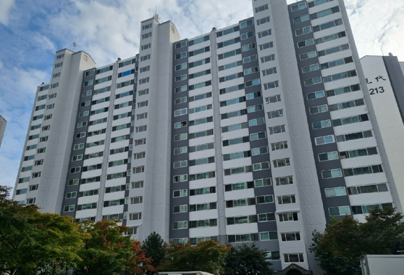 Daum카페