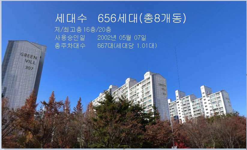 Daum카페