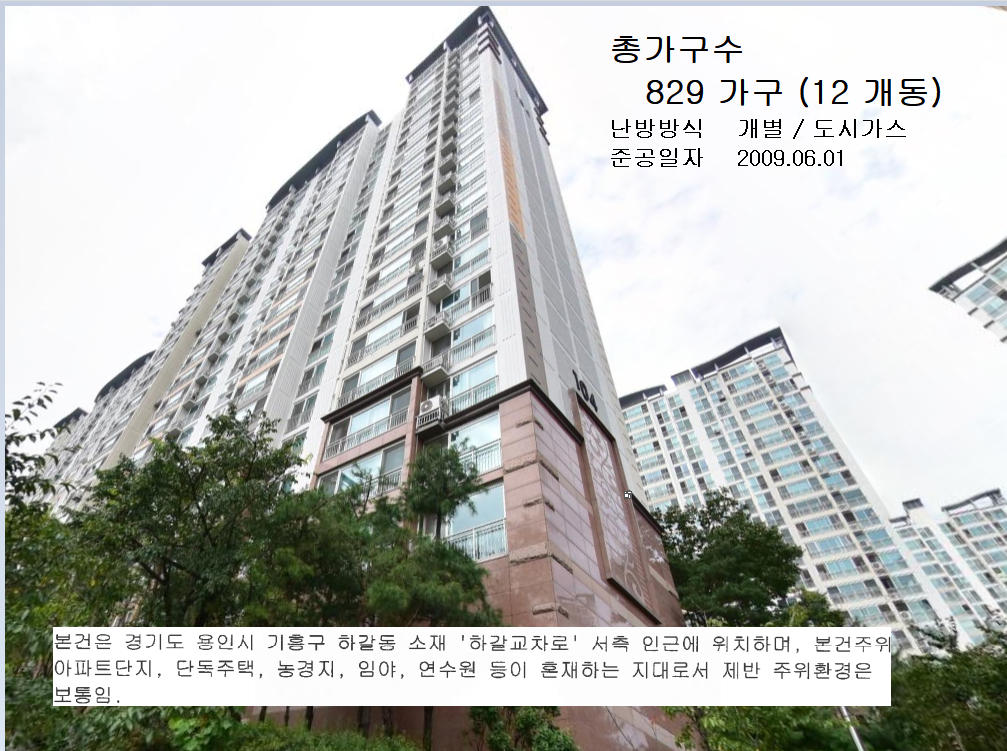 Daum카페