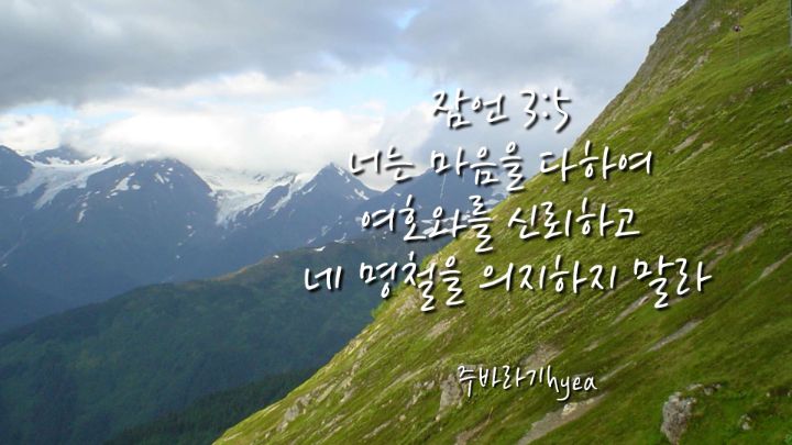 BY연주 이미지