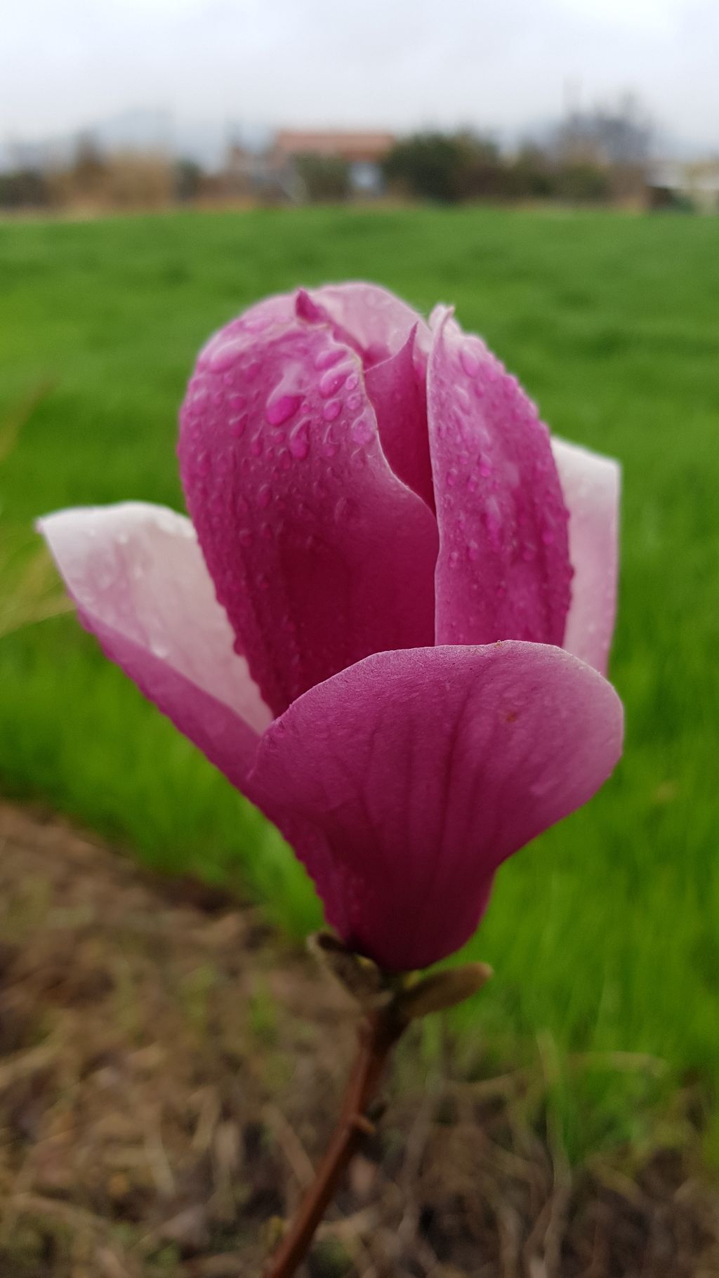 카페더뷰 이미지
